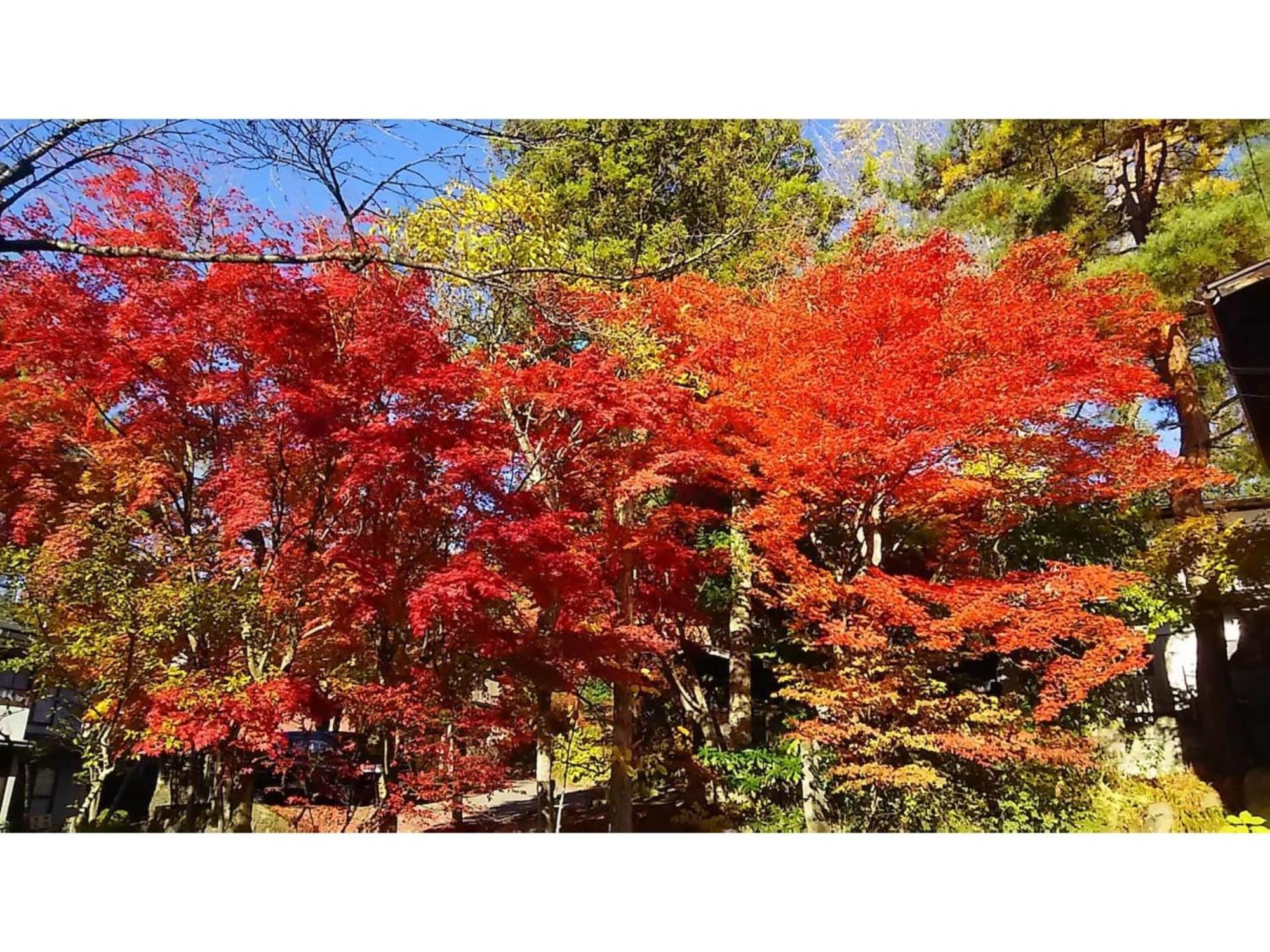 Tomareru Sento Taka No Yu - Vacation Stay 00556V Takayama  Exterior photo